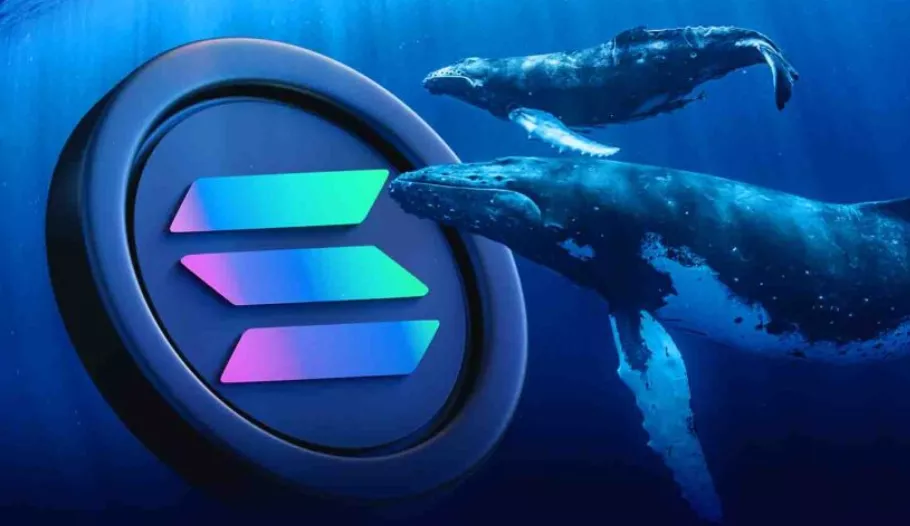 A Dormant Solana Giant Returns as a Multi-Million Dollar Withdrawal Signals Long-Term Conviction